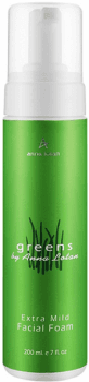 Anna Lotan Extra Mild Facial Foam (Деликатный мусс для очищения кожи лица «Гринс»)