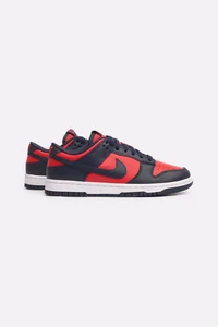 Мужские кроссовки Nike Dunk Low Retro (DV0833-601_)